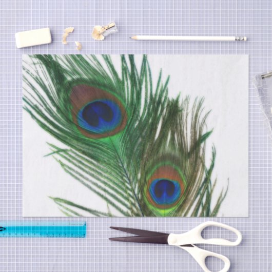 Reizende weiße Pfau-Feder Seidenpapier (Handwerk)