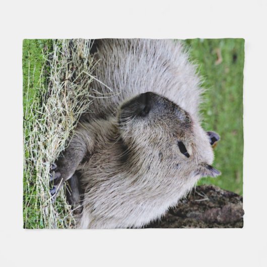 Reizender Capybara Fleecedecke (Vorderseite (Horizontal))