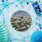 Reizender Garten des weißen Gänseblümchens Pappteller (Party)