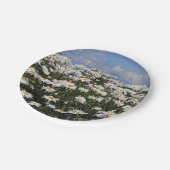 Reizender Garten des weißen Gänseblümchens Pappteller (Schrägansicht)