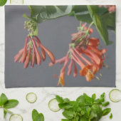 Reizender Kolibri Geschirrtuch (Gefaltet)