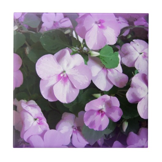 Reizender Lavendel Impatiens Fliese (Vorderseite)