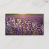 Reizender Lavendel Visitenkarte (Rückseite)