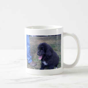 Reizender Newfie Welpe (Neufundland-Hundezucht) Kaffeetasse