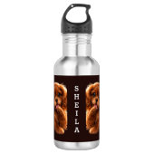 Reizender Ruby Cavalier Spaniel Edelstahlflasche (Vorderseite)