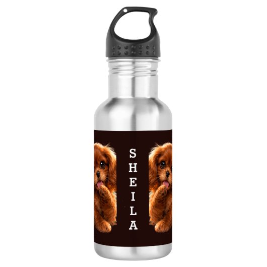 Reizender Ruby Cavalier Spaniel Edelstahlflasche (Vorderseite)