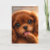 Reizender Ruby Cavalier Spaniel Karte (Vorderseite)