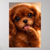 Reizender Ruby Cavalier Spaniel Poster (Vorne)