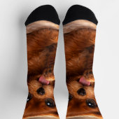 Reizender Ruby Cavalier Spaniel Socken (Oben)