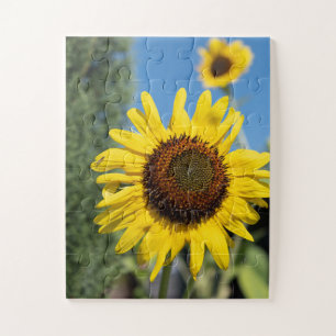 Reizender Sonnenblume Puzzle