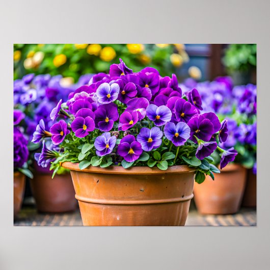 Reizender violetter Blumentopf Poster (Vorne)