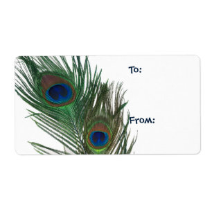 Reizender weißer Pfau-Geschenk-Umbau