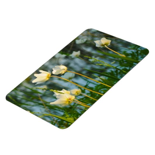 REIZENDES BLUMEN MAGNET (Linke Seite)