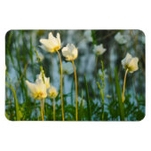 REIZENDES BLUMEN MAGNET (Horizontal)