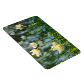 REIZENDES BLUMEN MAGNET (Rechte Seite)