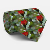 Reizendes Floribunda 'Charisma Krawatte (Gerollt)