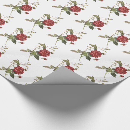 Reizendes Rosen-Geschenk-Verpackungs-Papier Geschenkpapier (Ecke)