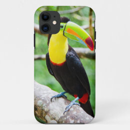 Reizendes Toucan Case-Mate iPhone Hülle