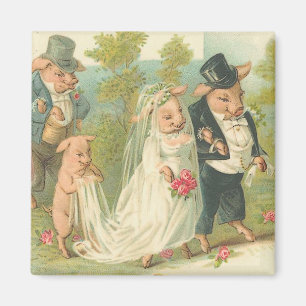 Reizendes Vintage-Schweine-Braut-und-Bräutigam-Mag Magnet