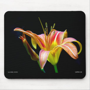 Reizvolle Braune Taglilie II Bekleidung und Gesche Mousepad