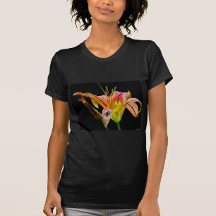 Reizvolle Braune Taglilie II Bekleidung und Gesche T-Shirt