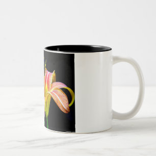 Reizvolle Braune Taglilie II Bekleidung und Gesche Zweifarbige Tasse