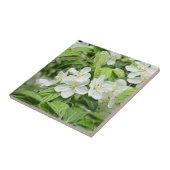 Reizvolle Frühlingsblüten Fliese (Seite)