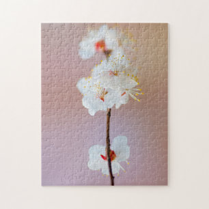 Reizvolle japanische Aprikosenblüten im Frühling Puzzle