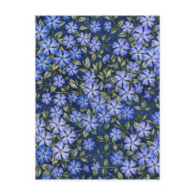 Reizvolle verstreute Immergrün-Blüten in Tiefblau