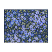 Reizvolle verstreute Immergrün-Blüten in Tiefblau