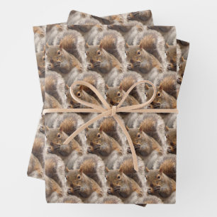 Reizvolle Wald-Eichhörnchen-Geschenkverpackung Geschenkpapier Set