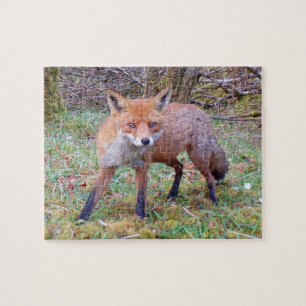 Reizvolles Rotfuchs-Wildnisporträt Schneeszene Puzzle