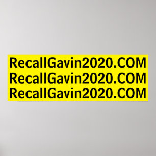 rekallgavin2020 36x12 poster