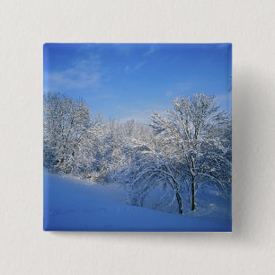 Rekordschnee in Louisville, Kentucky. Button