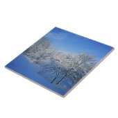 Rekordschnee in Louisville, Kentucky. Fliese (Seite)