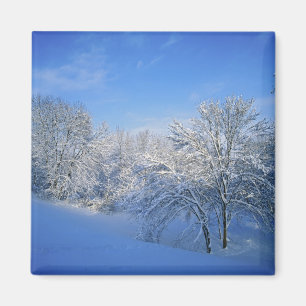 Rekordschnee in Louisville, Kentucky. Magnet