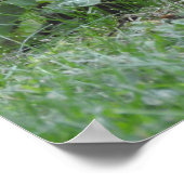 Relax Eichhörnchen auf Baumwurzeln Poster (Ecke)