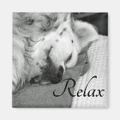 "Relax" Niedlicher Hundeschlafplatz Magnet (Vorne)