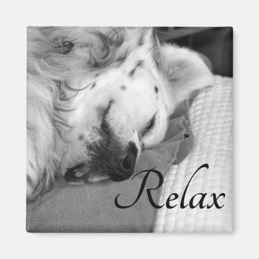"Relax" Niedlicher Hundeschlafplatz Magnet (Vorne)