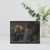 Relax Postkarte mit Schlafbär (Stehend Vorderseite)