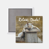 RELAX, TYP! Eichhörnchen Entspannende Ritterspass- Magnet (Vorderseite/Rückseite)