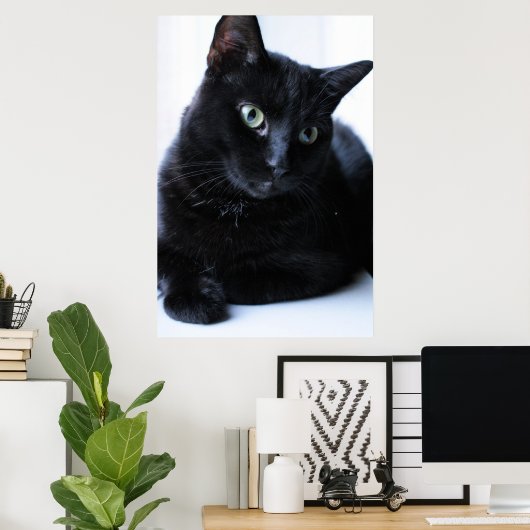 Relaxin Poster (Heimbüro)