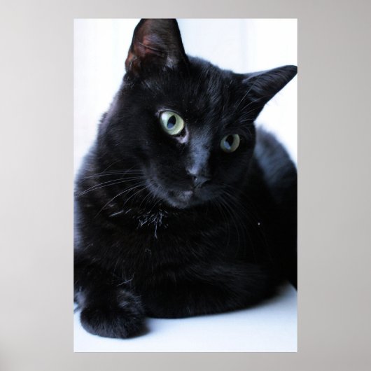 Relaxin Poster (Vorne)