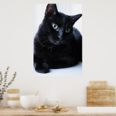 Relaxin Poster (Küche)