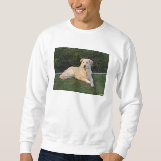 Relaxing Dog Sweatshirt (Vorderseite)
