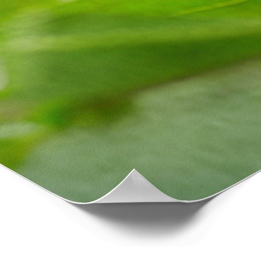 Relaxing Poster (Ecke)