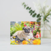 Relaxing Pug Chilling in Garden Space Postkarte (Stehend Vorderseite)