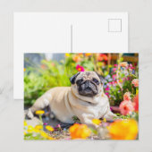 Relaxing Pug Chilling in Garden Space Postkarte (Vorne/Hinten)