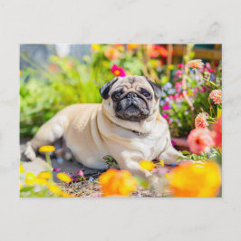 Relaxing Pug Chilling in Garden Space Postkarte