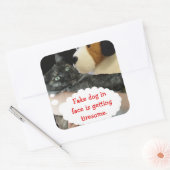 Relaxte Cat Sticker von RoseWrites (Umschlag)